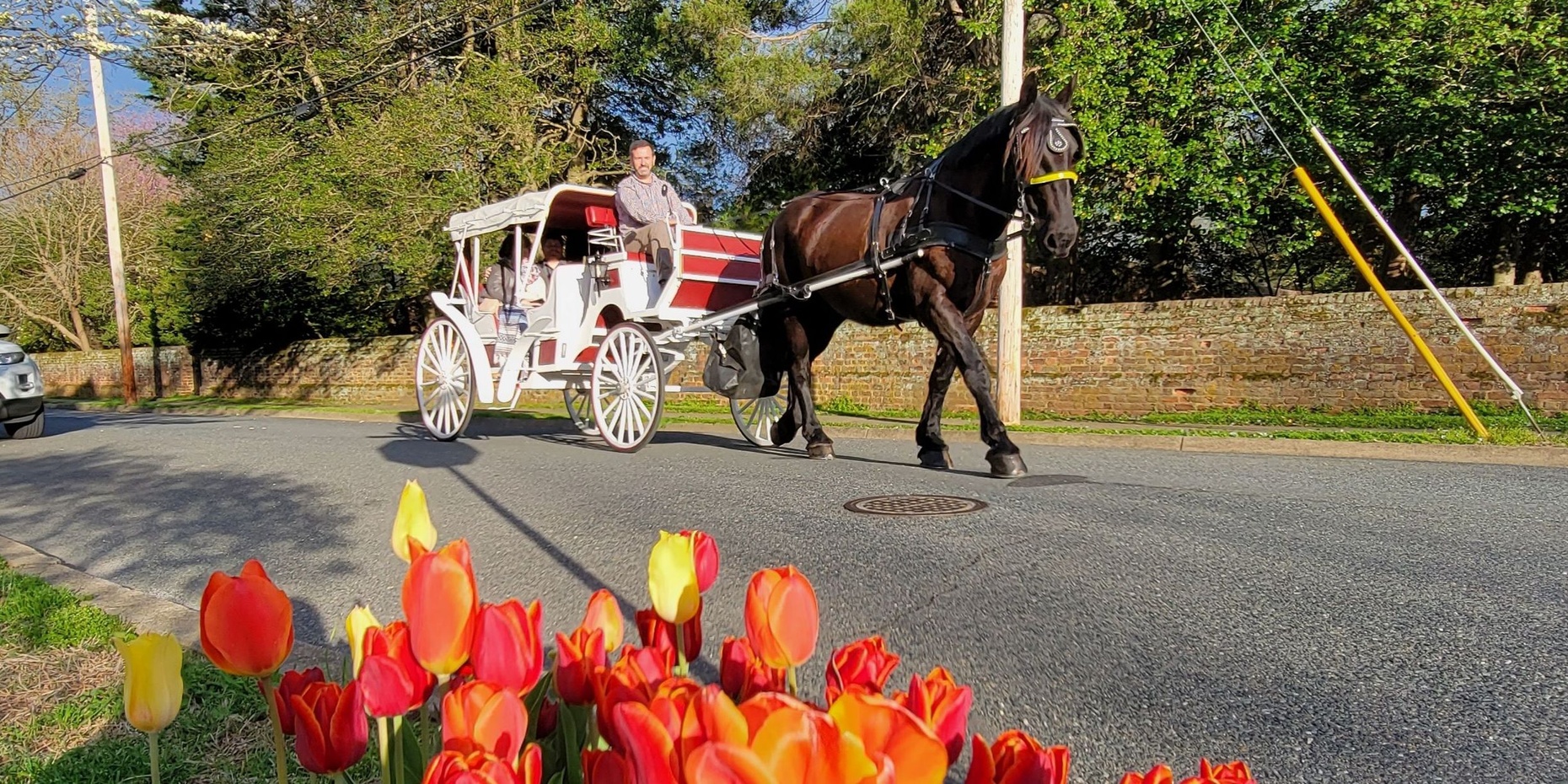 Carriage Tour of the Victorian Gardens in Fredericksburg