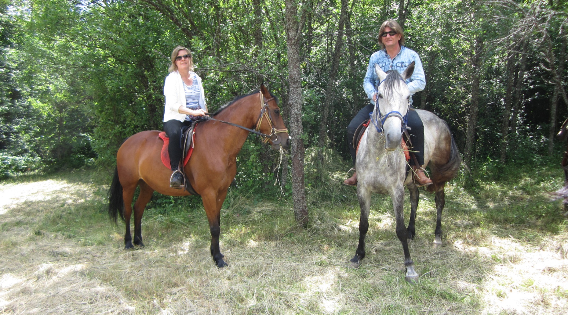 One-Hour Virgin River Horseback Ride in Zion National Park