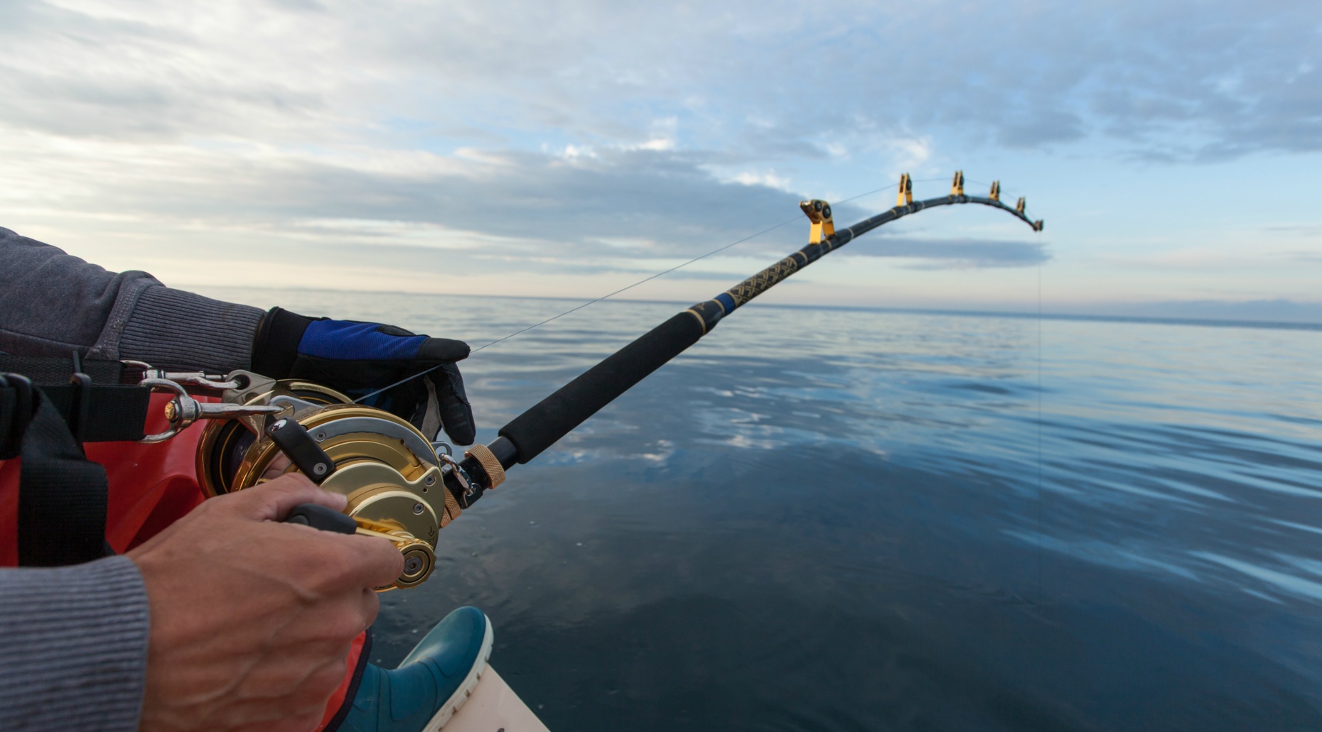 All-Inclusive Striped Bass & Bluefish Trip in New York City in New York ...