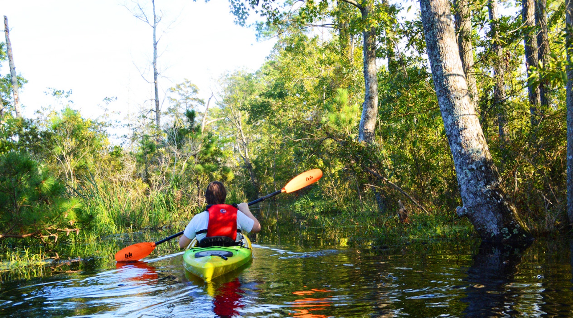 Full-Day Fossil Kayaking Adventure