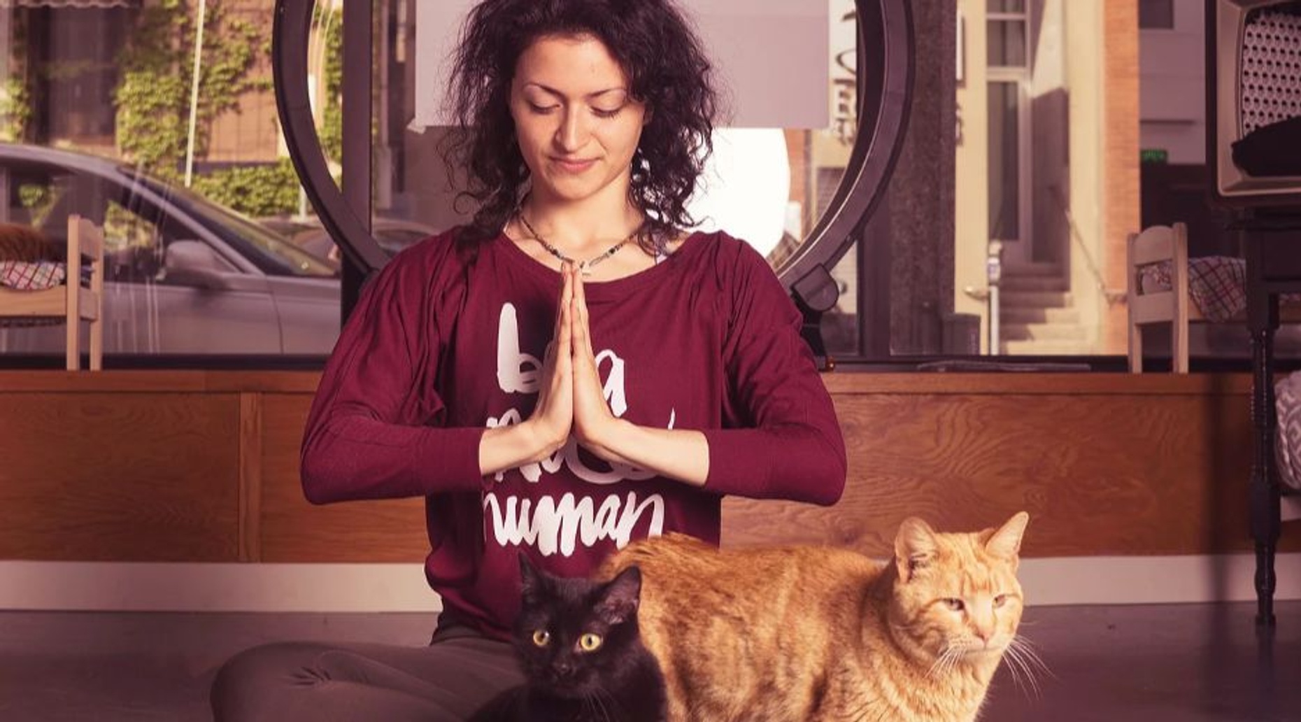 Yoga with Cats in Milwaukee