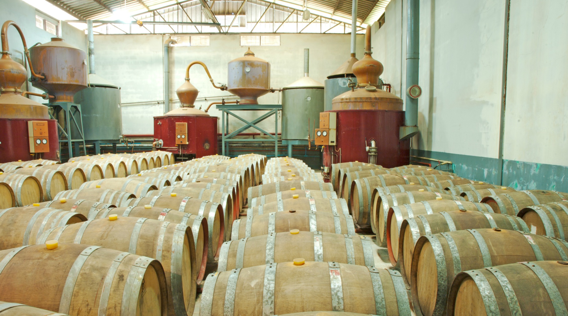 Texas Hill Country Distillery Tour in Dripping Springs
