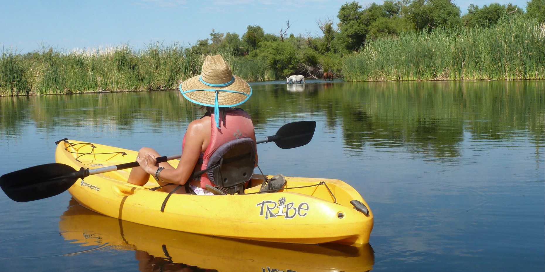 2-Hour Self-Guided Foxtail Kayak Trip