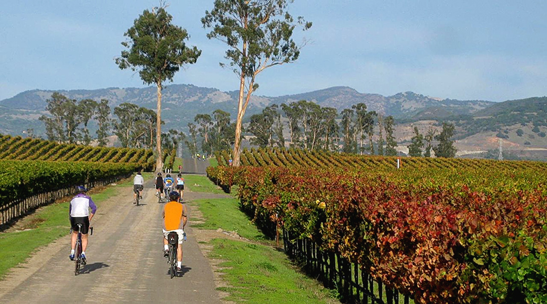Pinot Noir Wine Bike Tour in Russian River Valley