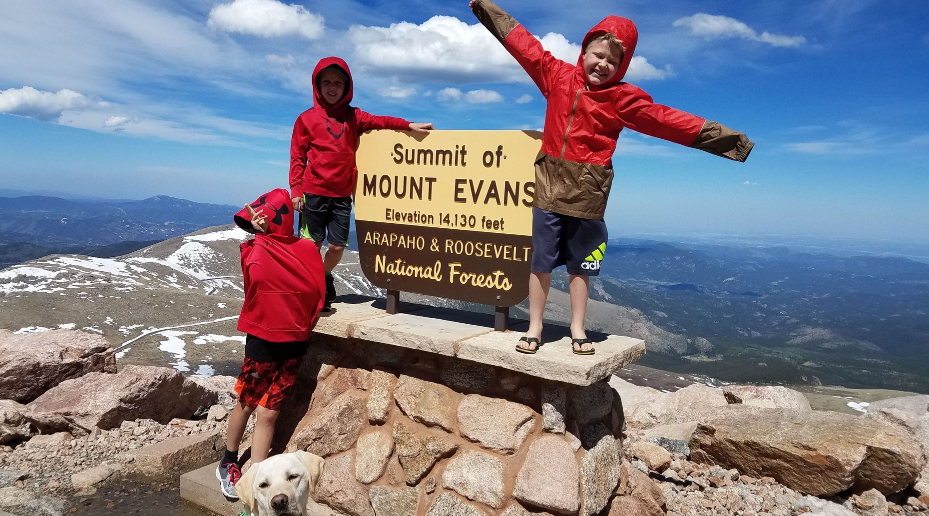 are dogs allowed on mt evans