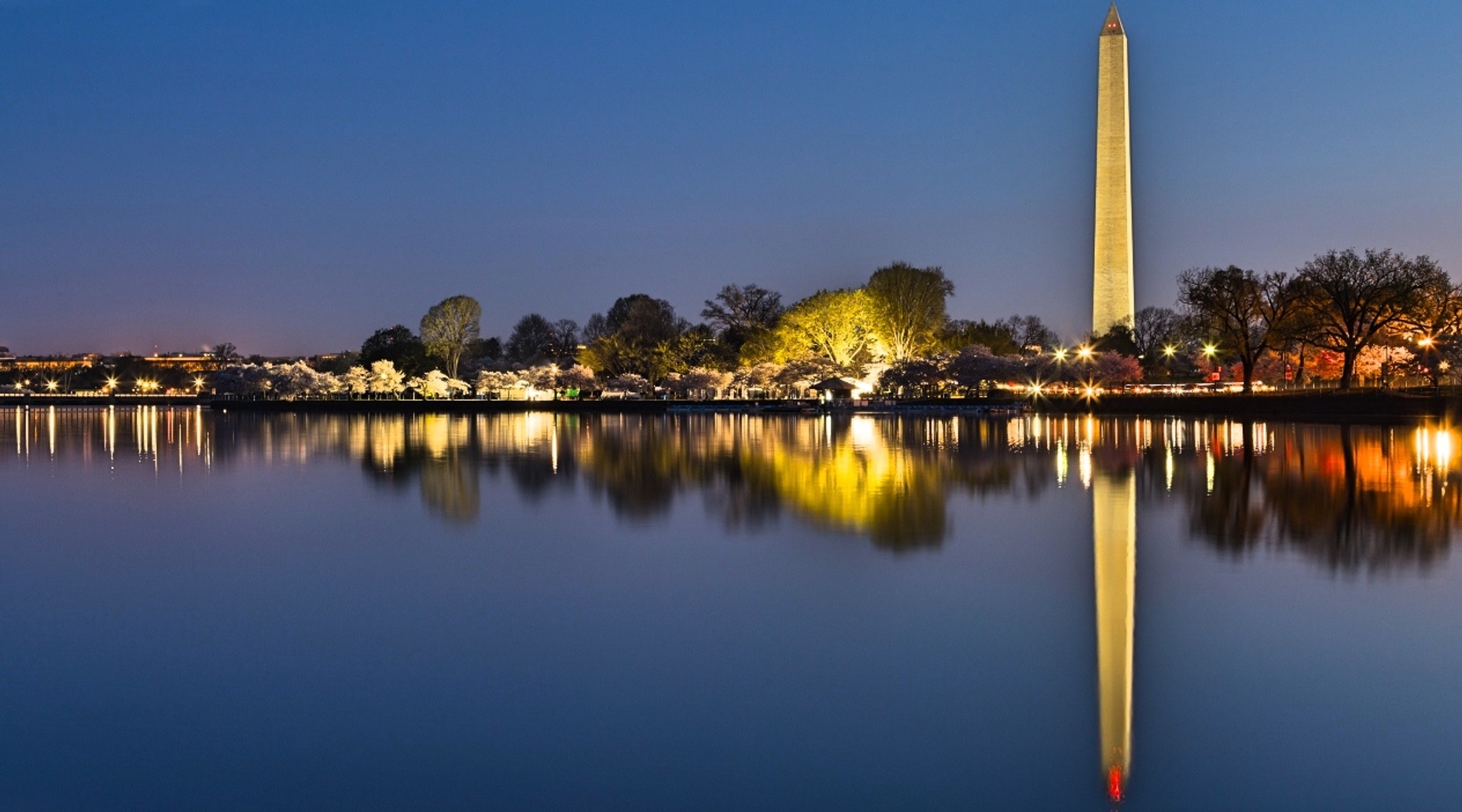 After-Dark Guided Tour in Washington D.C.