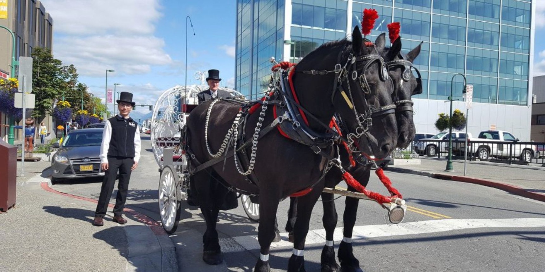 30-Minute Horse Drawn Carriage Ride of Downtown Anchorage