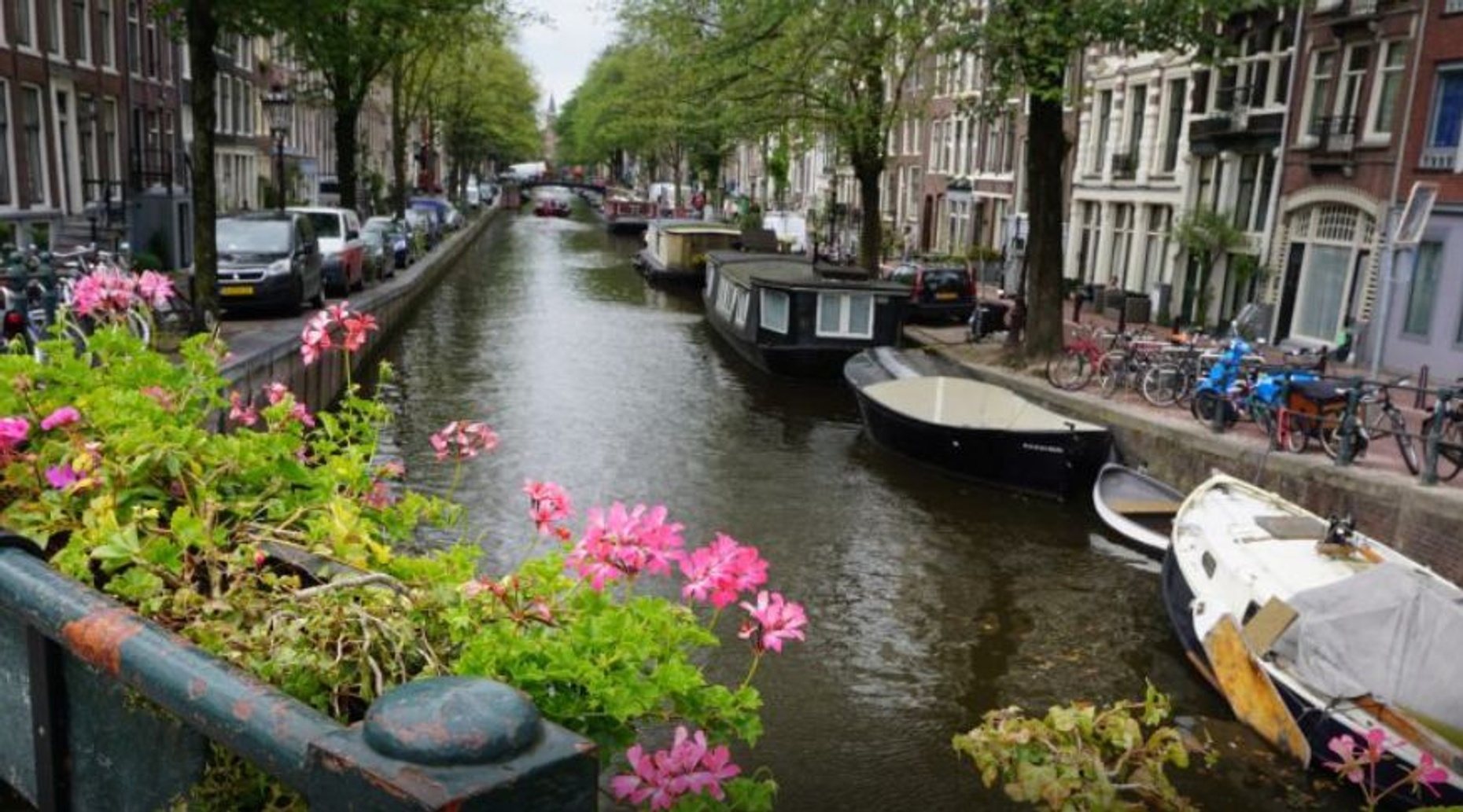 4-Hour Amsterdam Food & Canals Tour