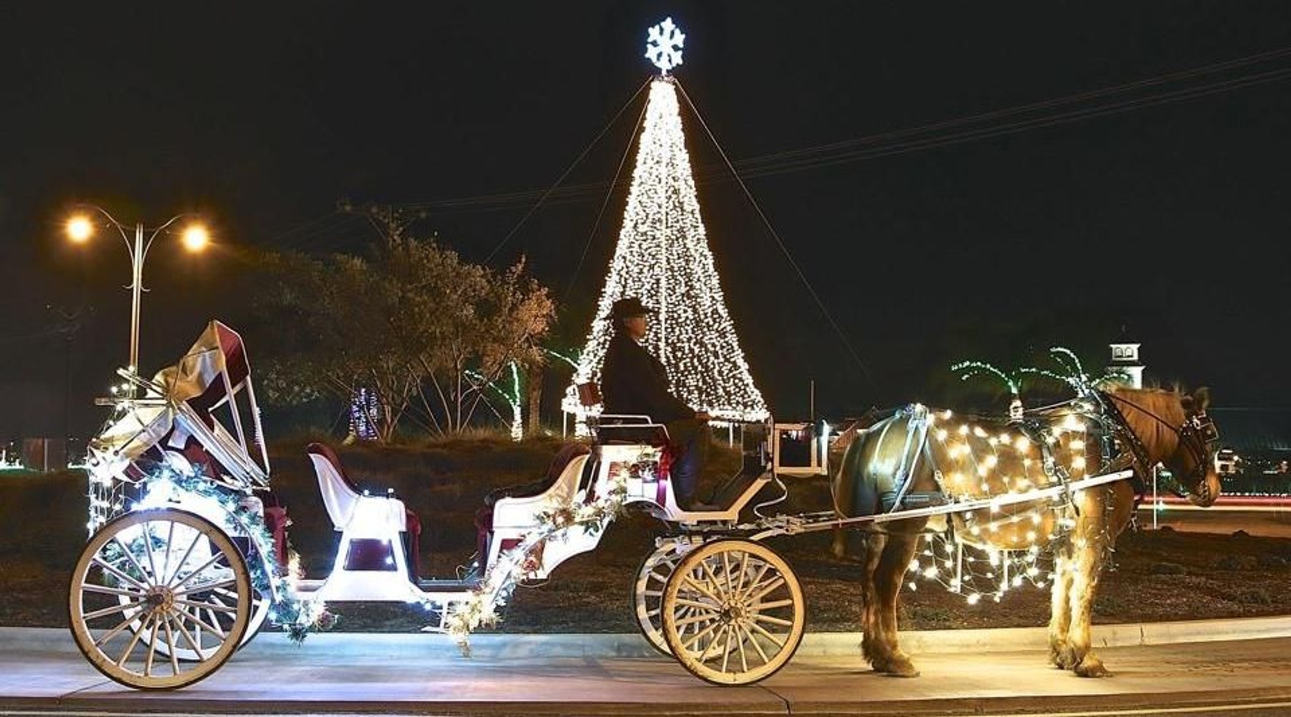 Private Jingle Bell Sleigh Ride in Temecula