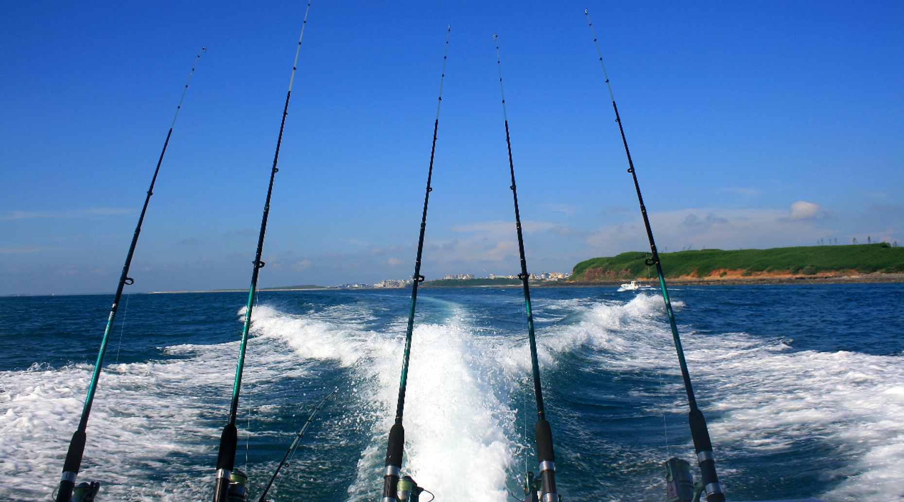 Half-Day Fishing Charter in the Gulf of Mexico