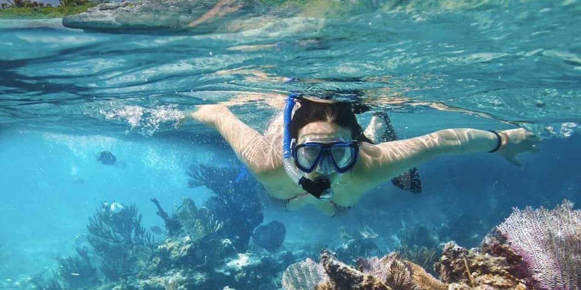 3 Reef Snorkel Adventure in Mexico