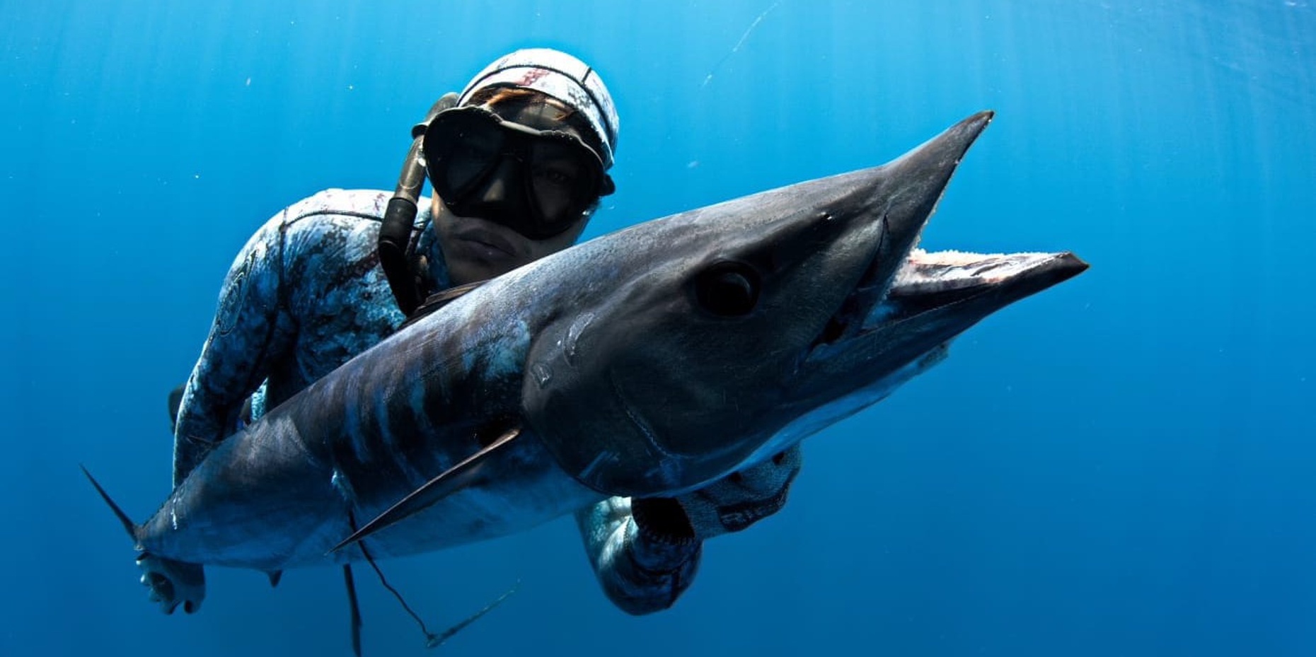 Semi-Private Spearfishing Tour in Los Cabos