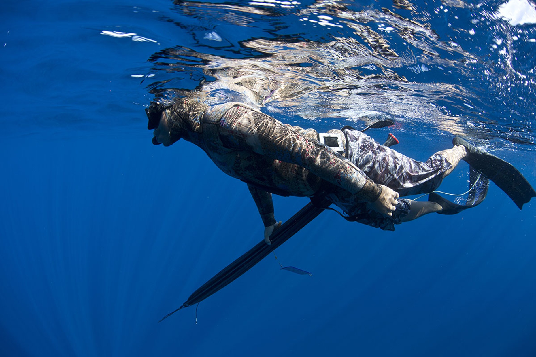 Reef Spearfishing Adventure in Cabo San Lucas