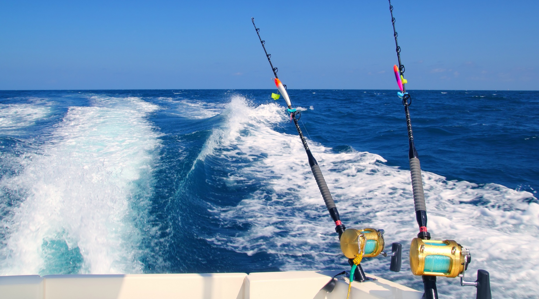 Four-Hour Shared Fishing Charter in Deerfield Beach