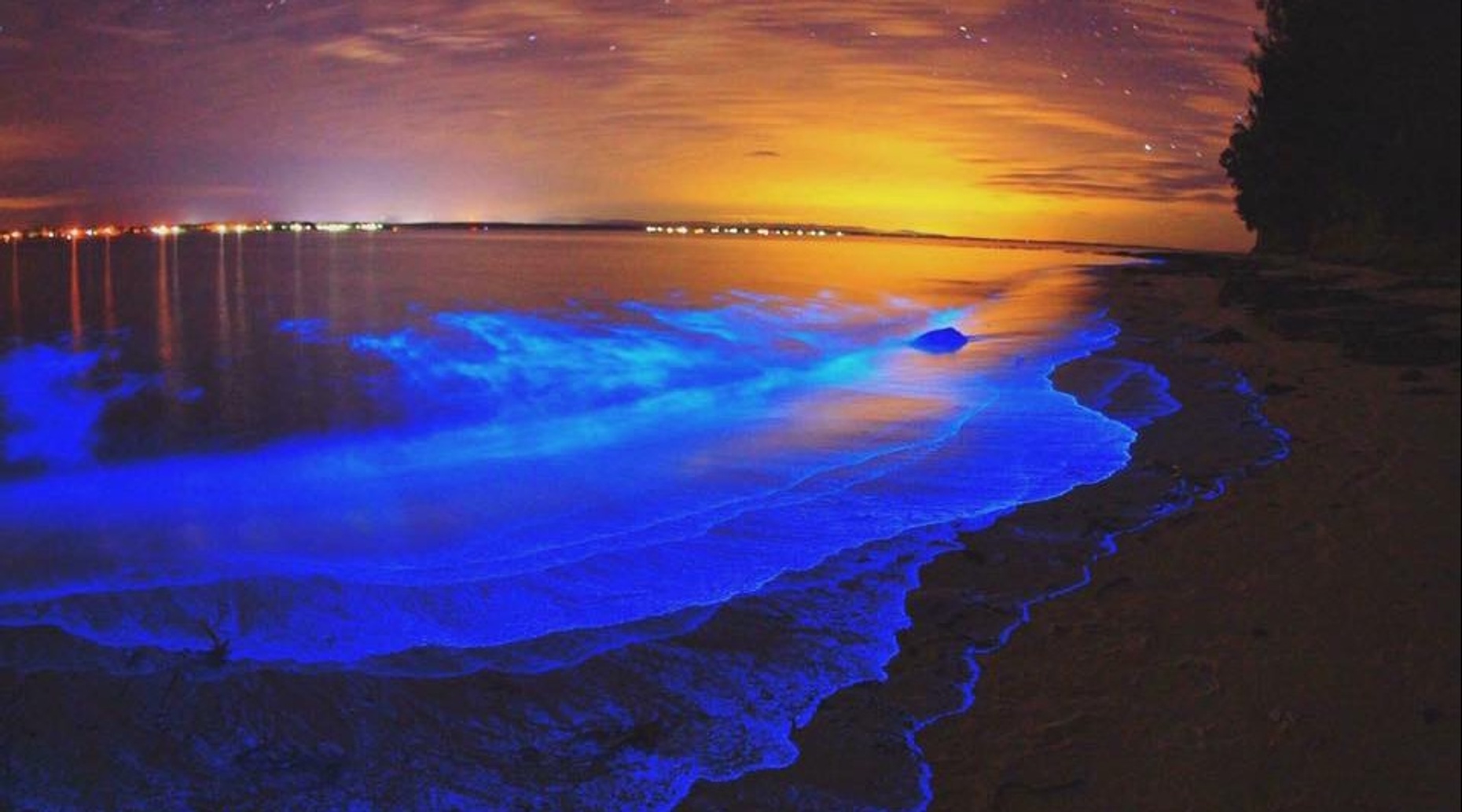 Bioluminescent Kayak Tour From Cocoa Beach: Book Tours & Activities At ...