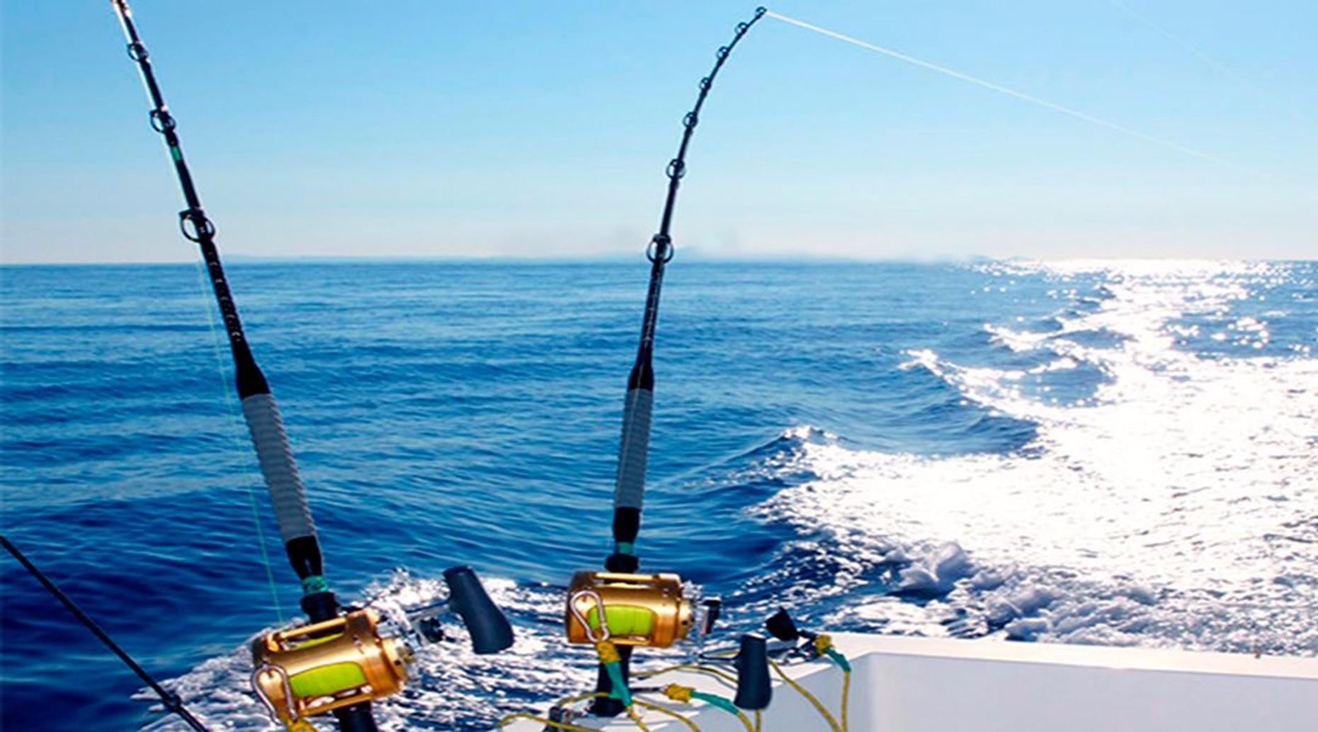 Sport Fishing Adventure in Cabo San Lucas in Los Cabos: Book Tours ...