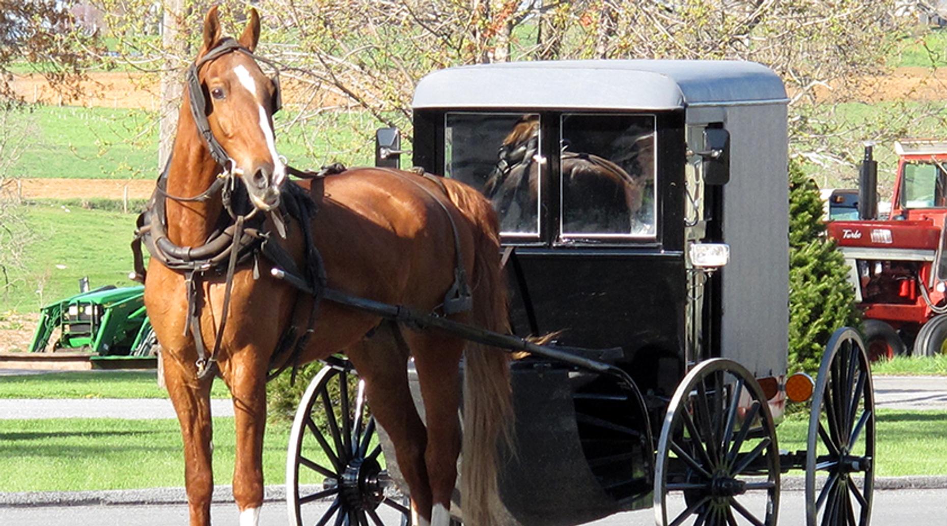 philadelphia amish tour