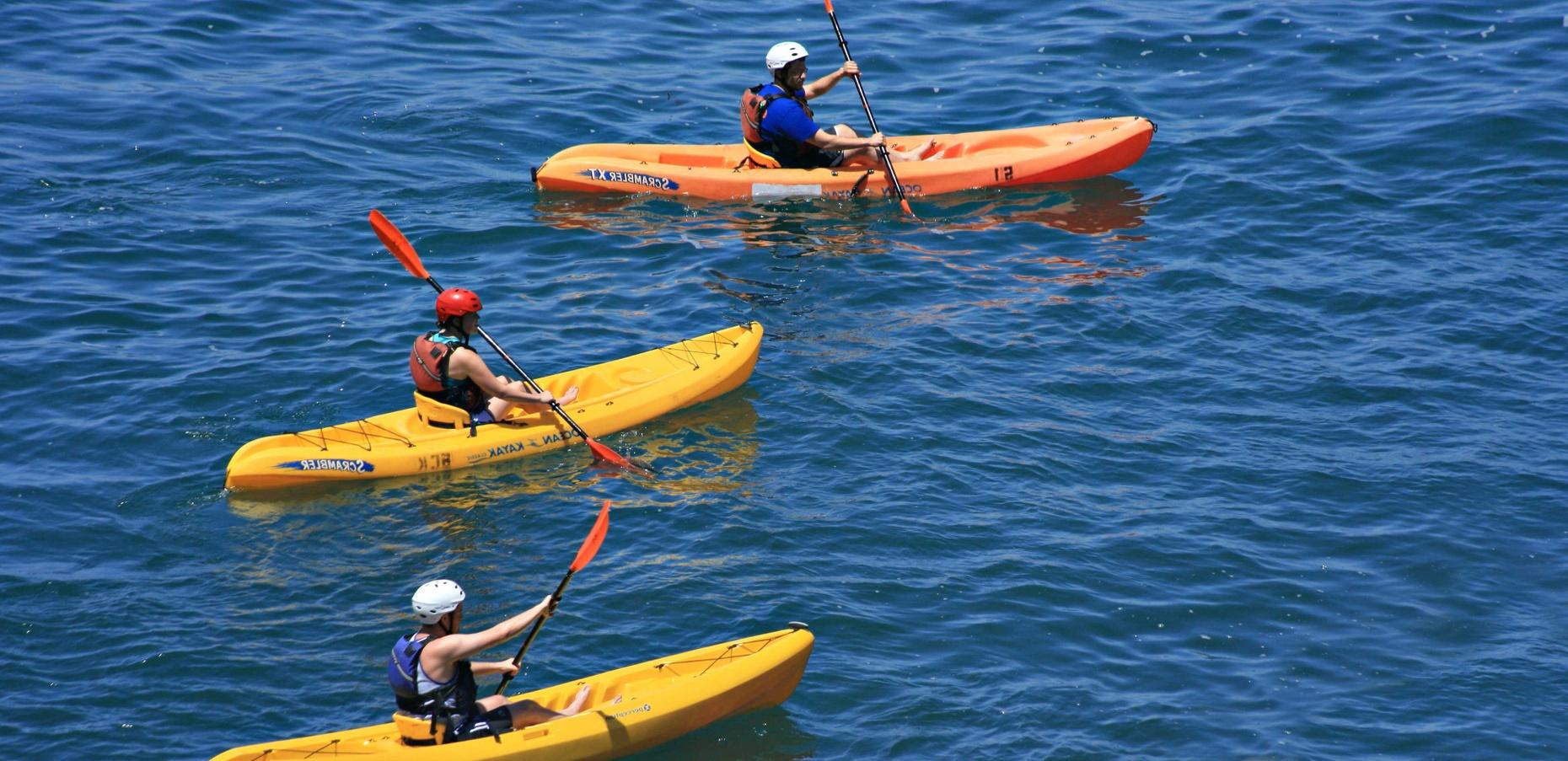 Dolphin Kayaking Tour in Hilton Head in Savannah: Book Tours ...