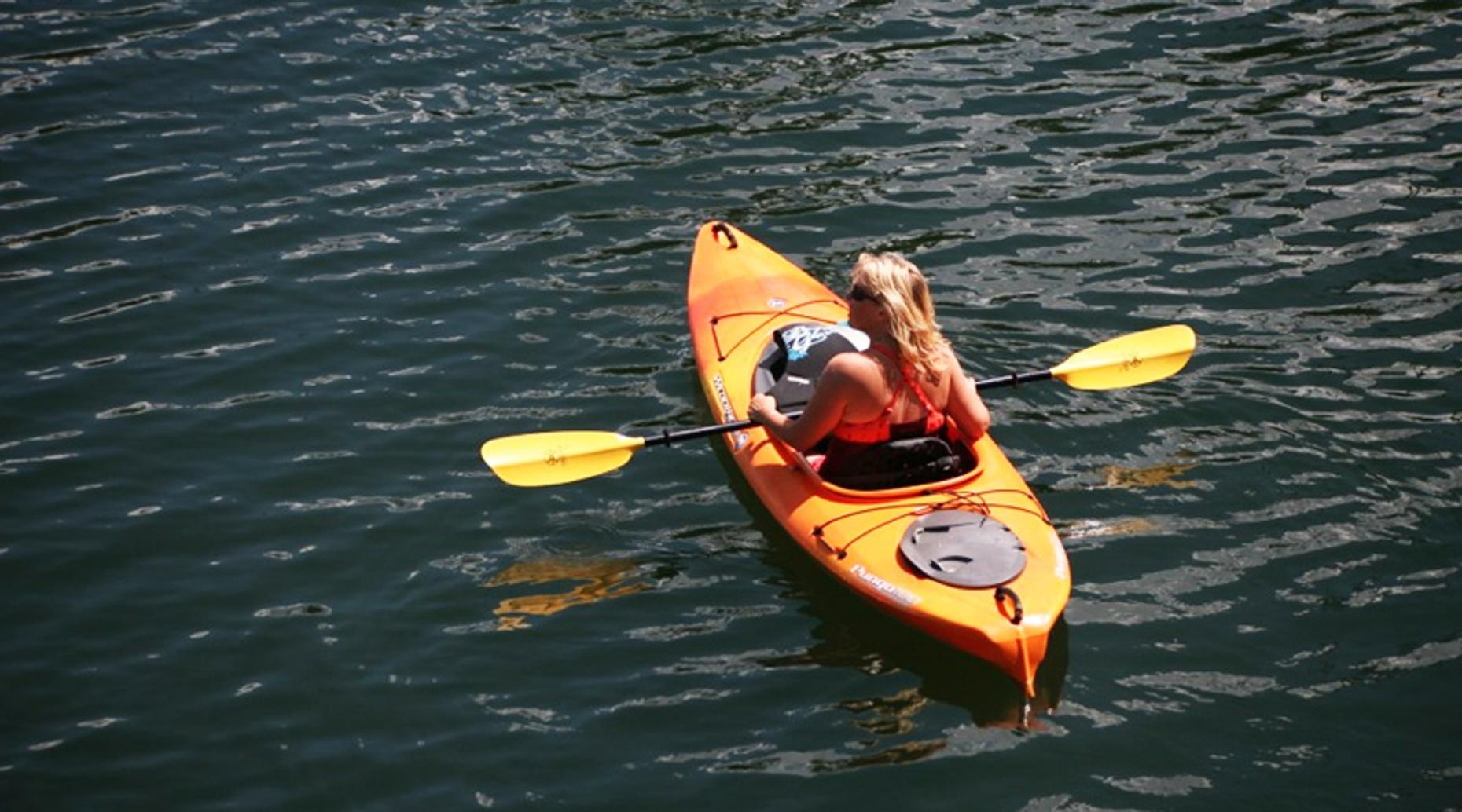 FullDay San Diego Single Kayak Rental in San Diego Book Tours