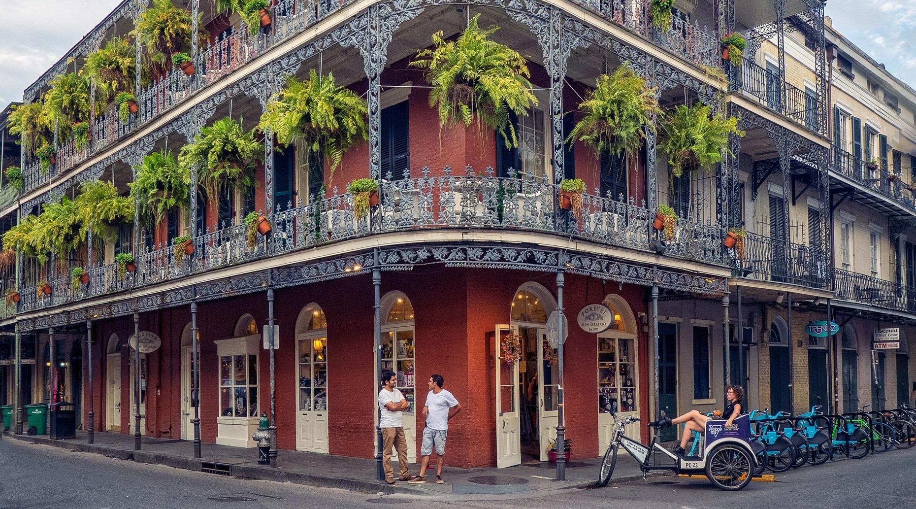 Private City Tour of New Orleans in New Orleans: Book Tours