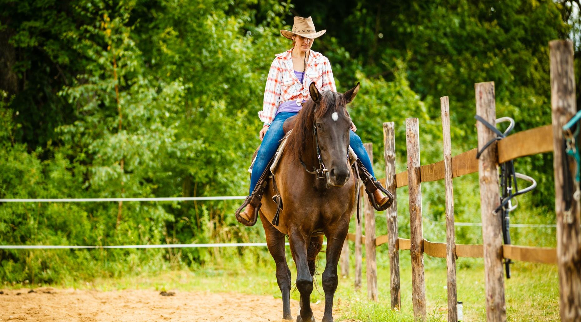 Two-Hour Horseback Trail Ride from Rockwall