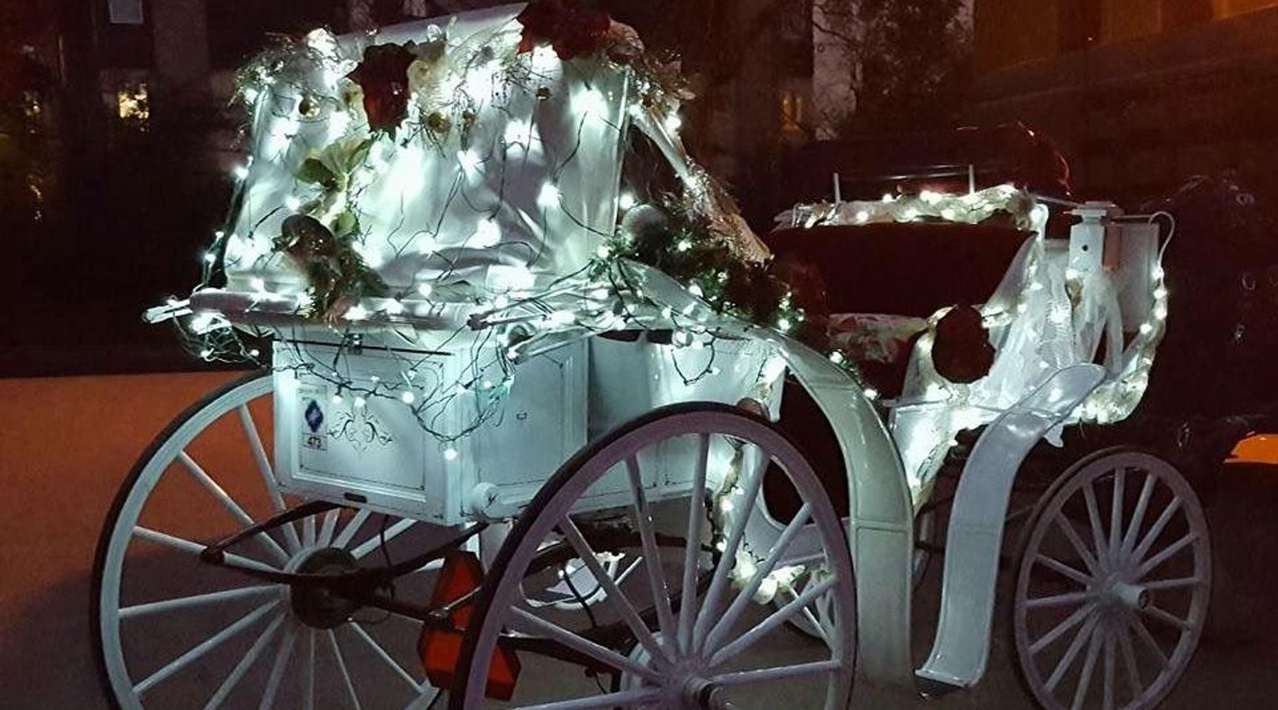 24 Passenger Christmas Carriage Tour in Highland Park Book Tours