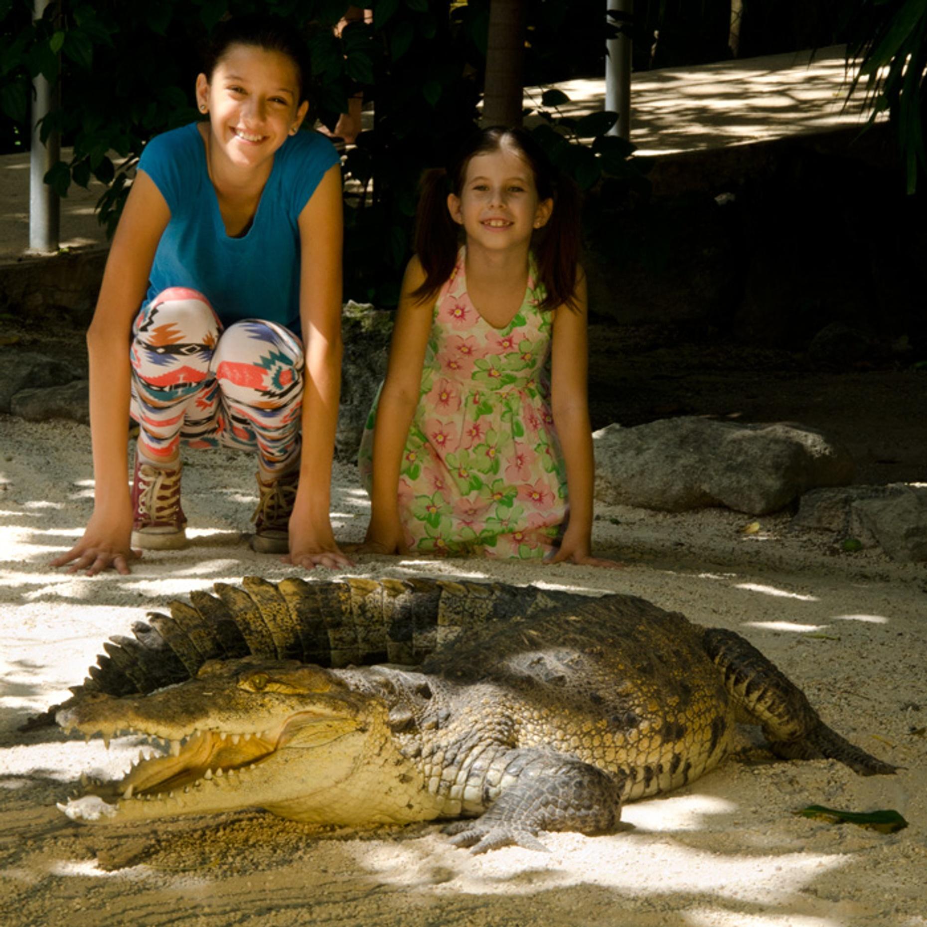 Interactive Tour of a Zoo in Cancun