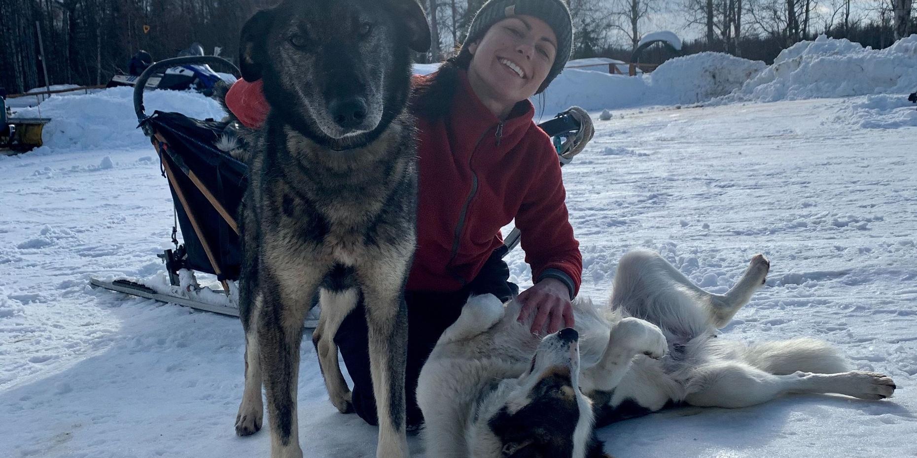 Mush Your Own Alaskan Dog Sled Team