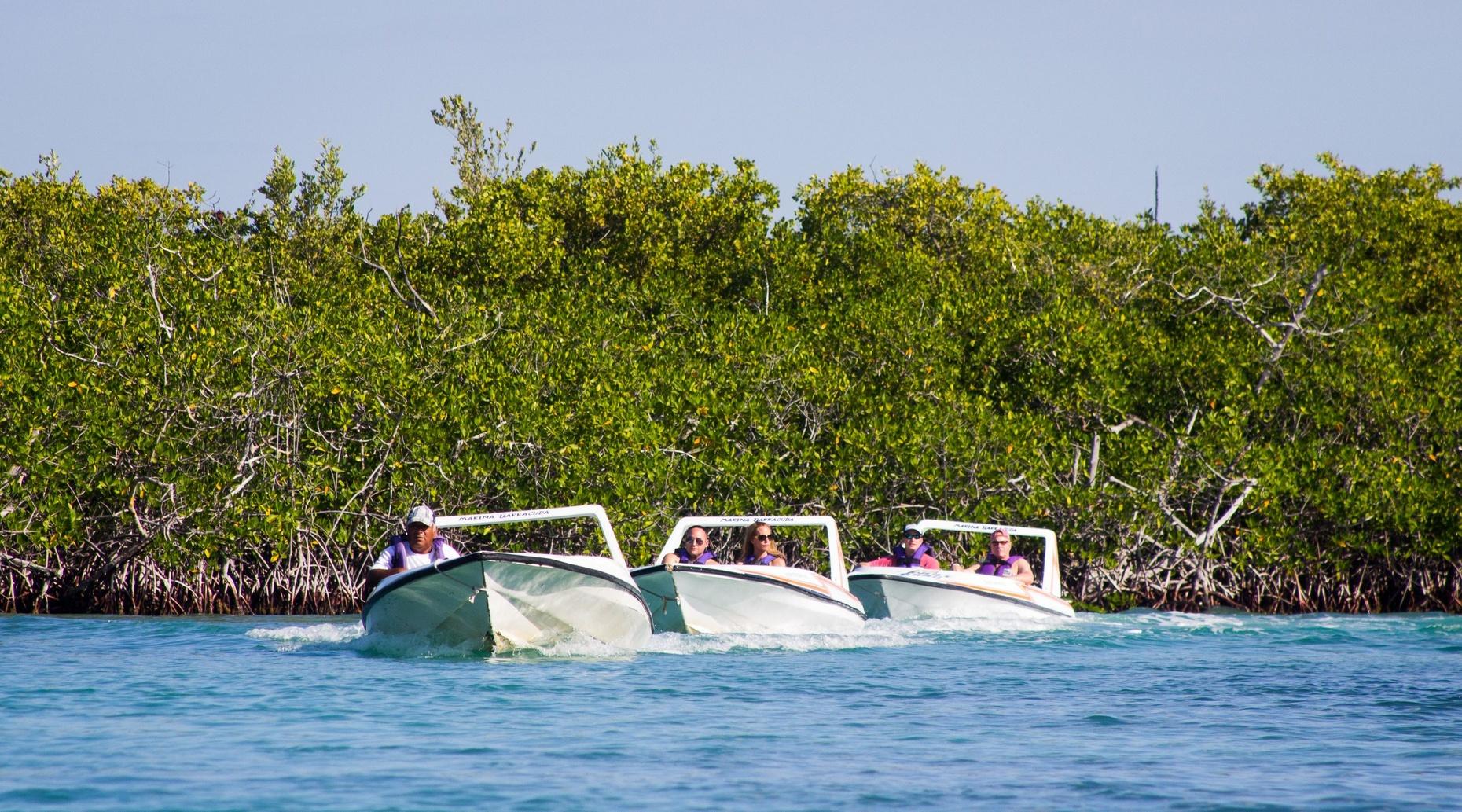 Mangrove Sightseeing Speed Boat Tour in Cancun