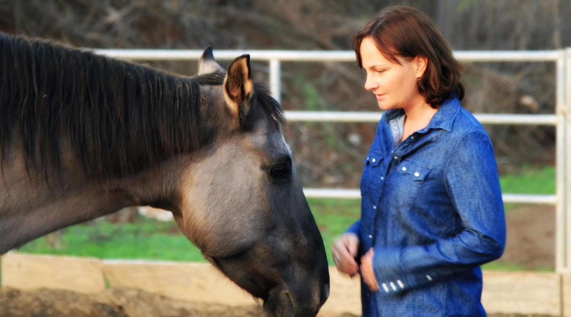 Equine Guided Mindfulness—Small Group Experience