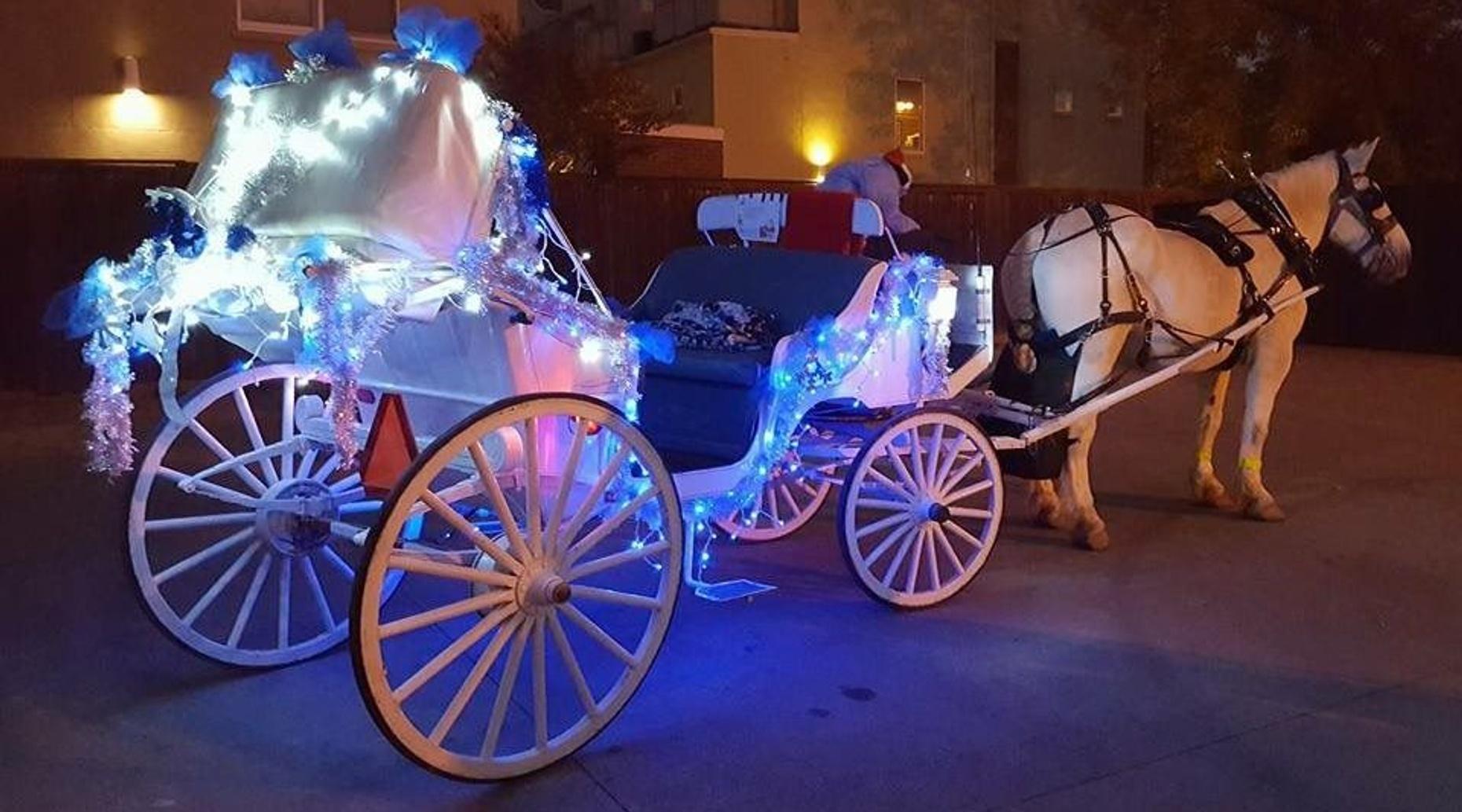 26 Passenger Christmas Carriage Tour in Highland Park Book Tours