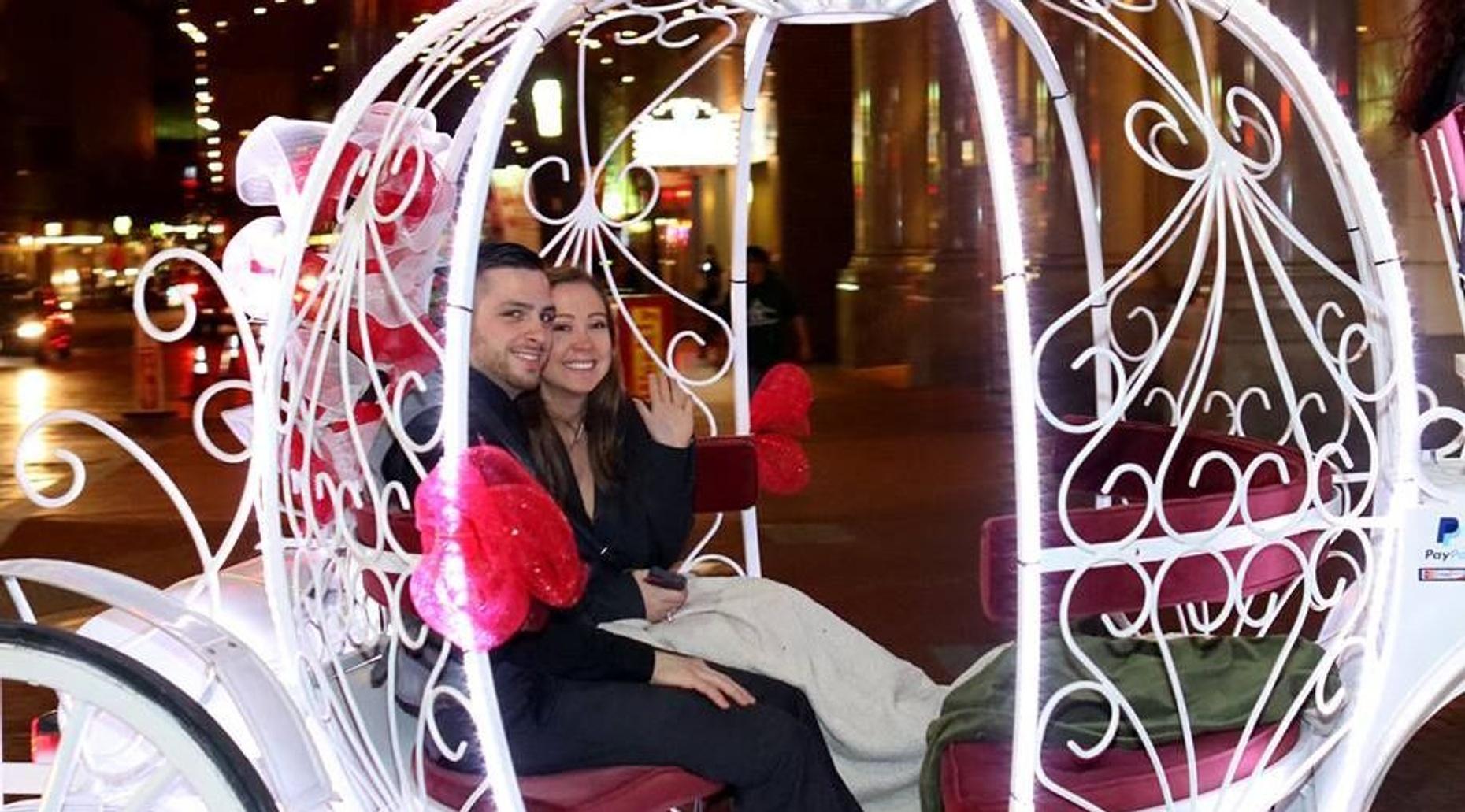 Cinderella Carriage Ride in Highland Park for 68 People Book Tours