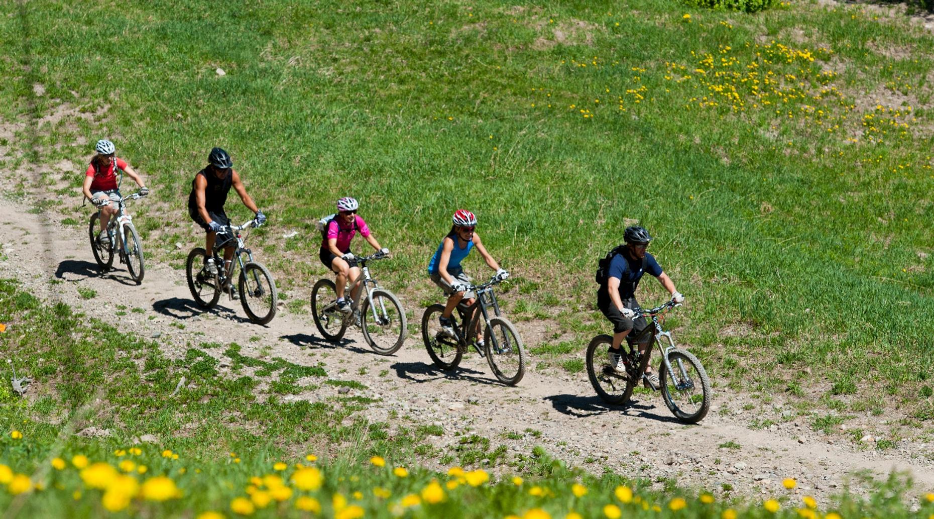 Private Group Biking Tour in Healdsburg