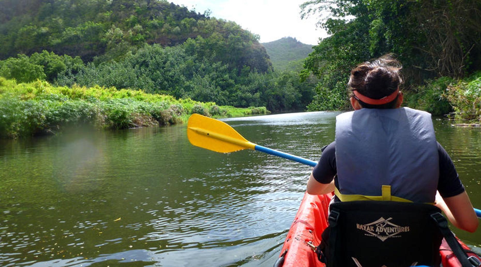 Kayak Rental in Cape Island Creek