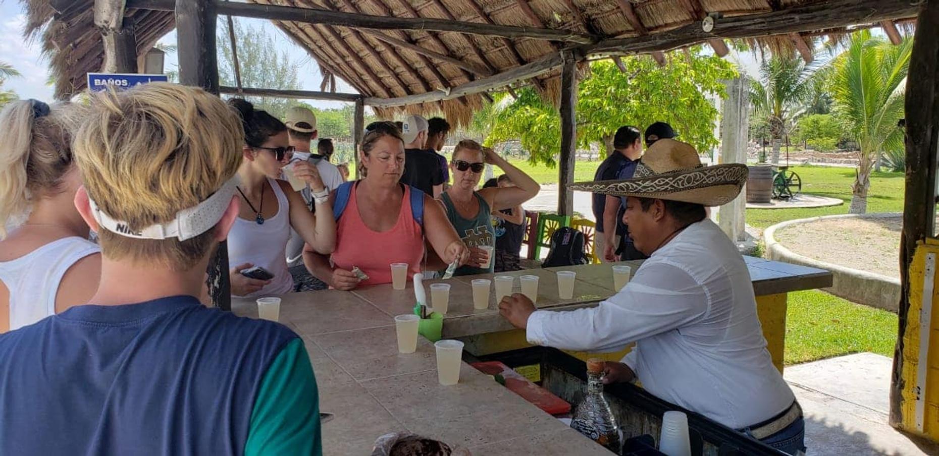 Guided Cozumel Walking Tour with Lunch