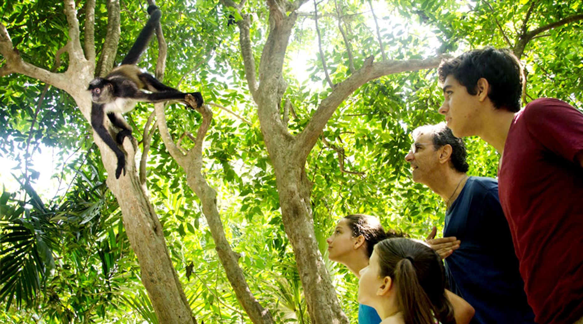 Guided Interactive Zoo Visit in Cancun