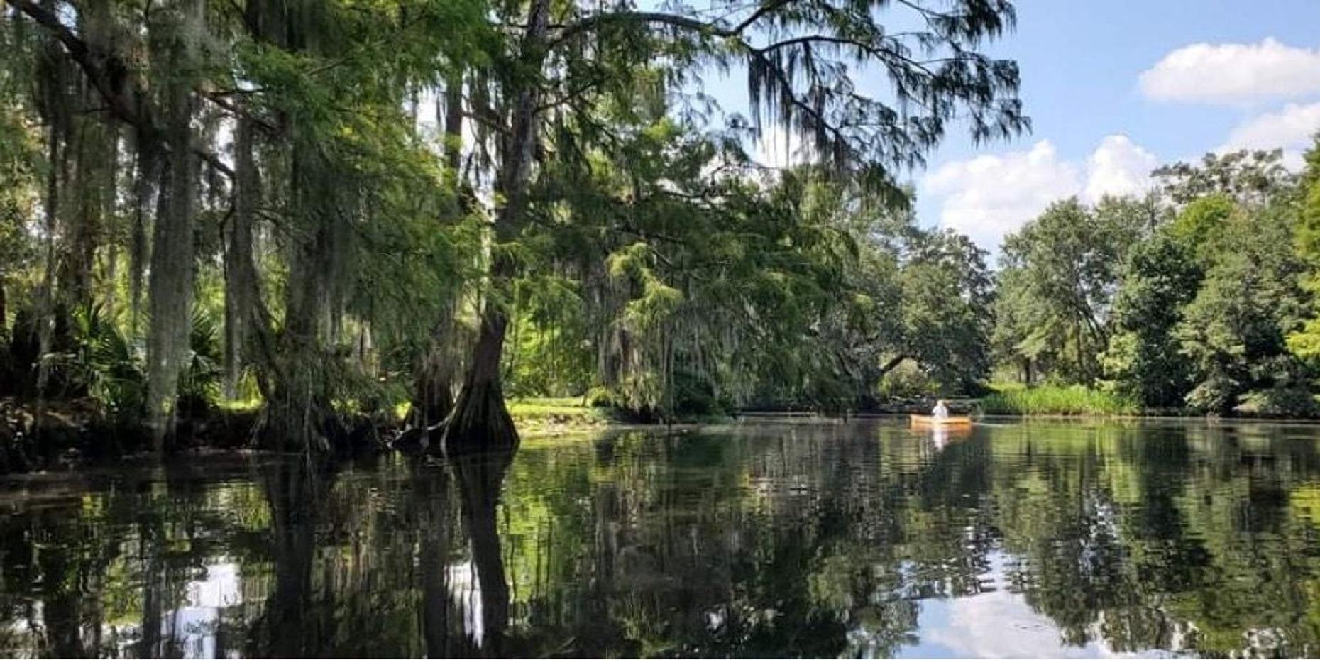 Honey Island Swamp Guided Kayak Tour