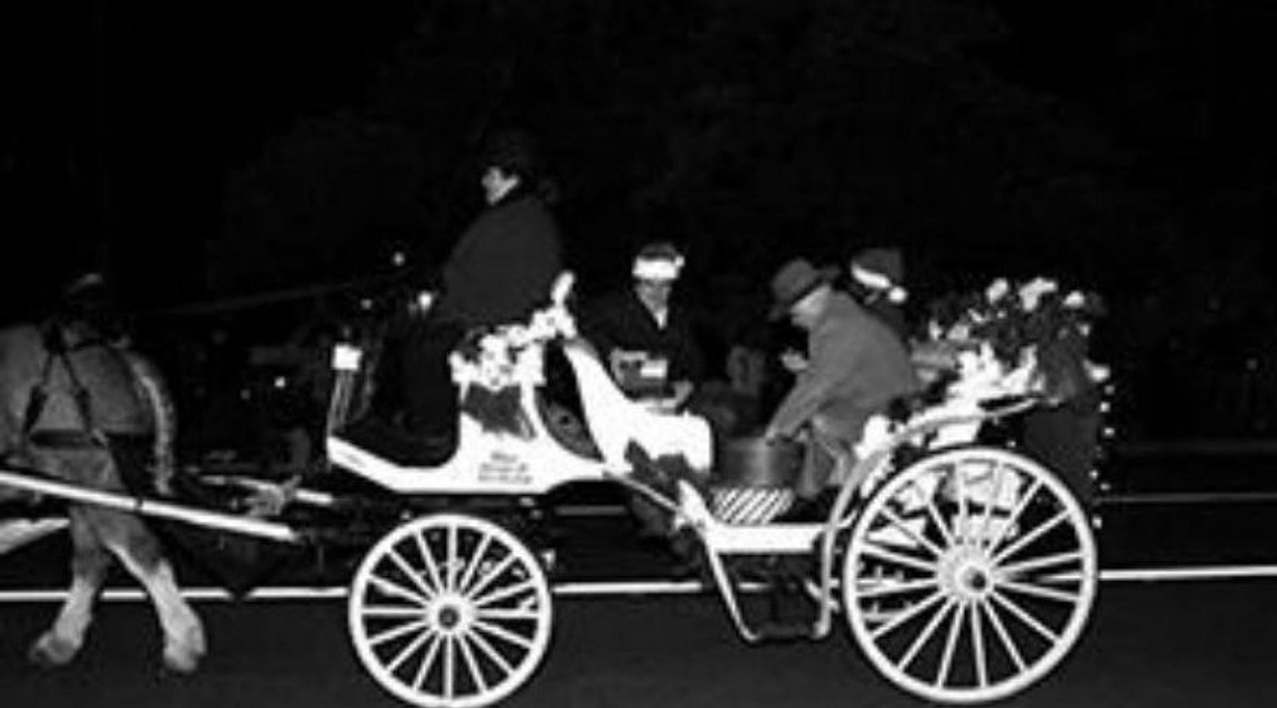 Carriage Ride in Highland Park for 4-6 People