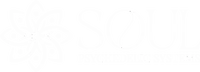 Soul Psychedelic Systems Logo