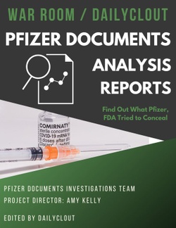 Pfizer Documents Analysis Project 