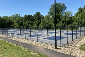 Picture of Unusual Puli Courts