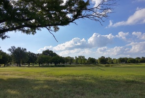 Picture of Buffalo Park