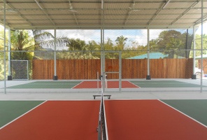 Picture of Jungle Pickleball