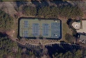 Picture of Starchy Southern Yellowjacket Courts