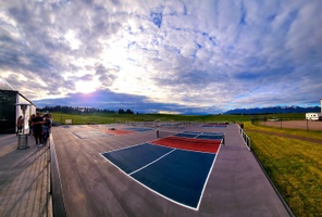 Picture of Faint Tonkinese Courts