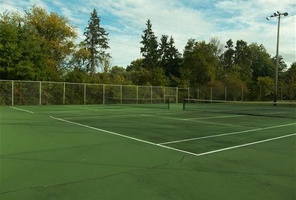 Picture of Exemplary American Black Bear Courts