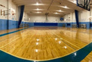 Picture of Liquid Masai Lion Courts