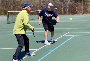 Picture of Unhappy Norwegian Red Courts