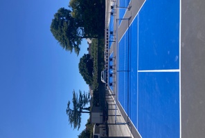 Picture of The Lob - Padel & Pickleball Academy