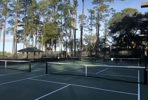 Picture of Nocturnal Polled Shorthorn Courts